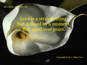Sib's Haiku of the Day #16