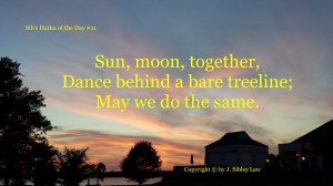 Sib's Haiku 021