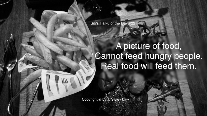Sib's Haiku 022