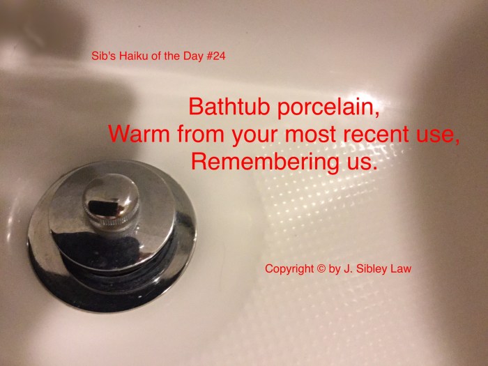 Sib's Haiku 024