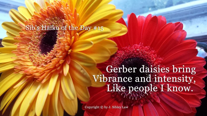 Sibs Haiku of the Day #015