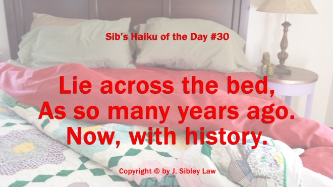 Sibs Haiku 030