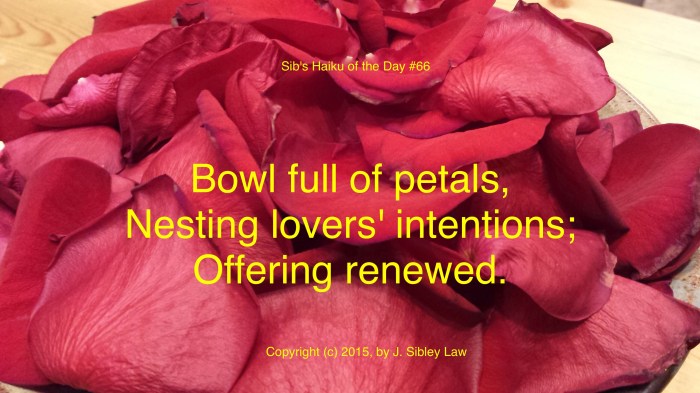 Sib's Haiku 066