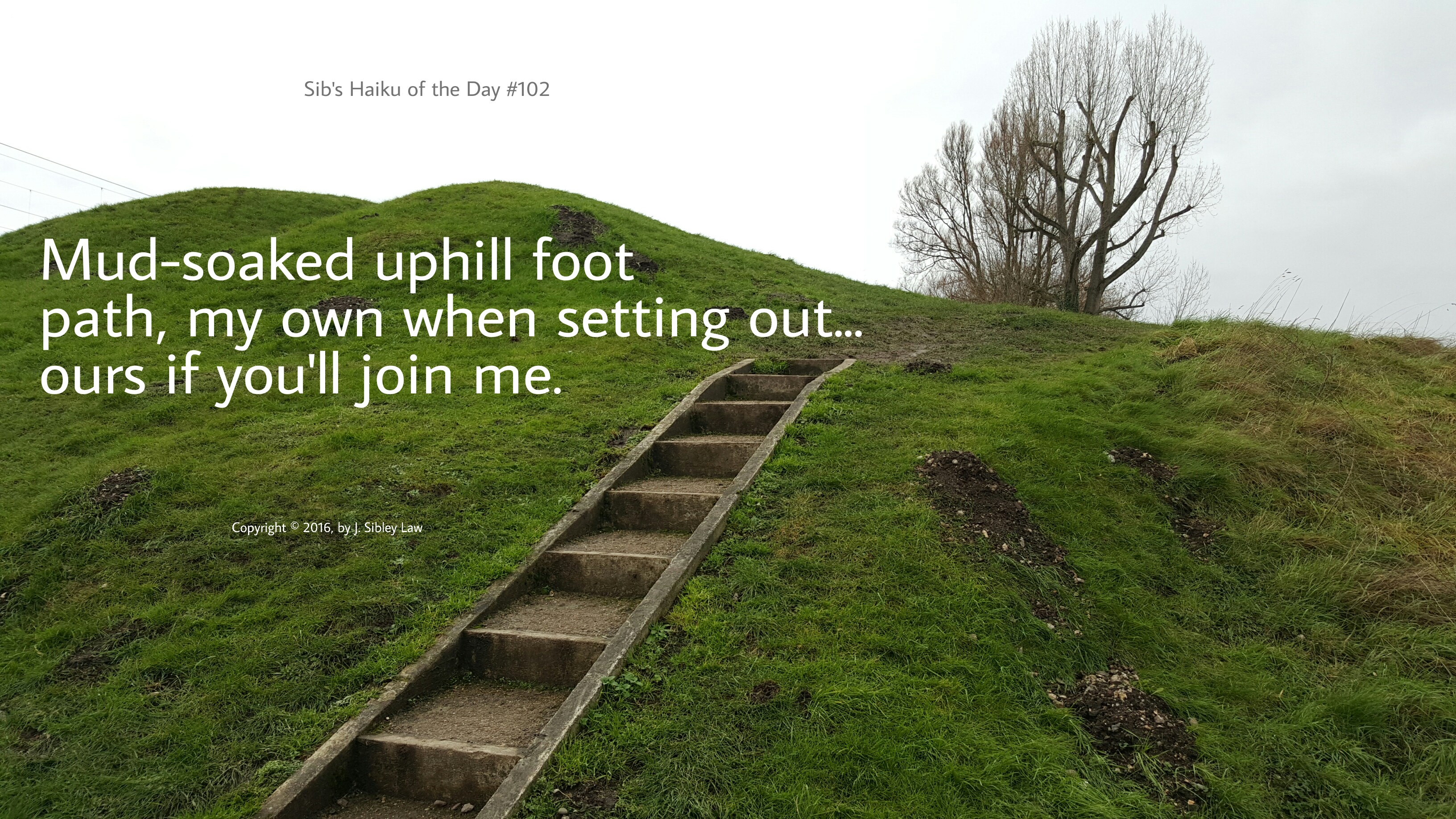 Sib's Haiku of the Day #102