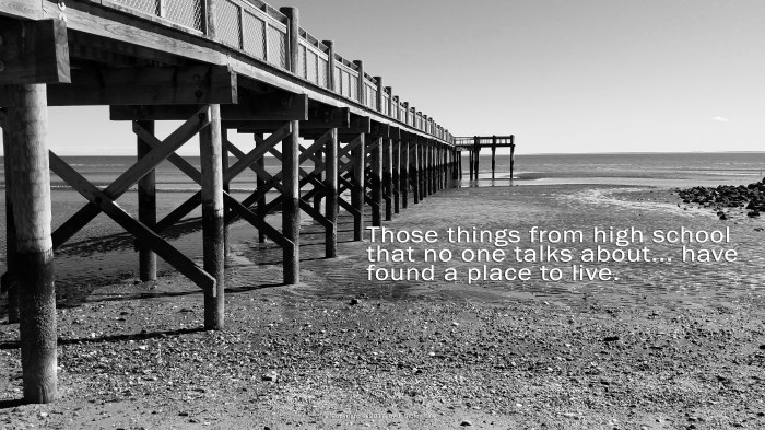 Sib's Haiku 130 B&amp;W